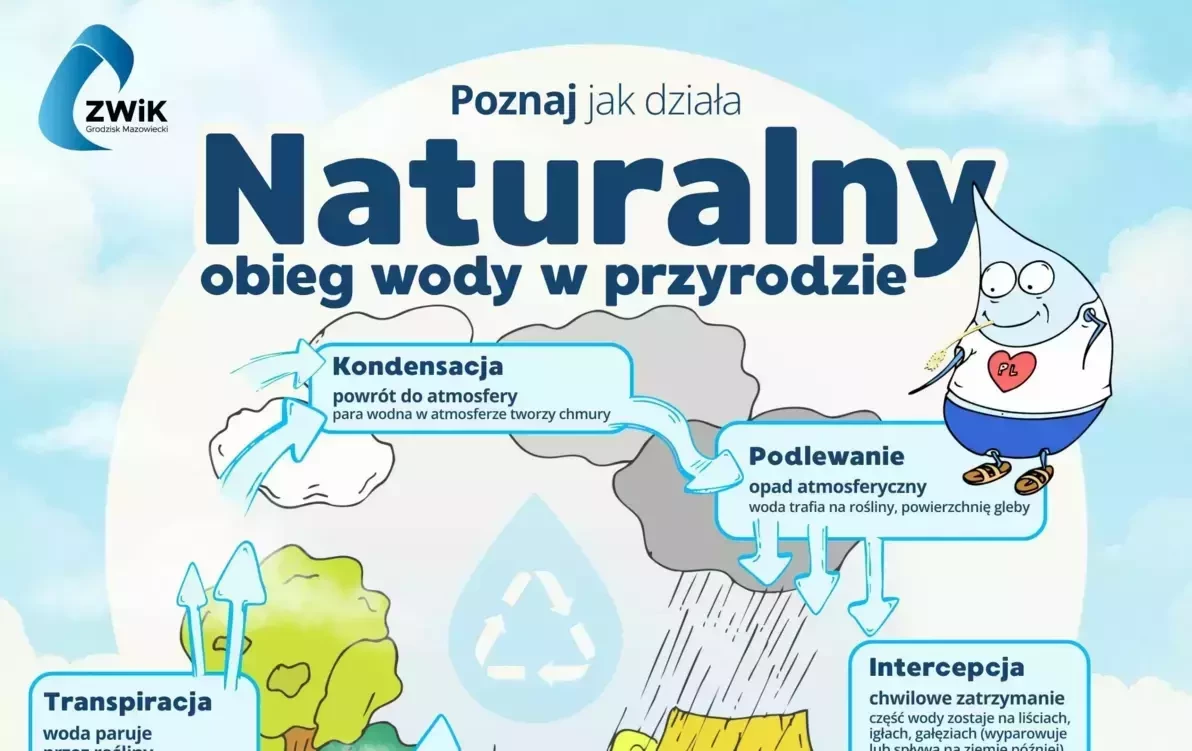 Zdjęcie do Poznaj jak działa naturalny obieg wody w przyrodzie